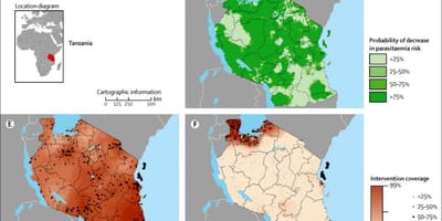 Карта Танзаніі малярыі 